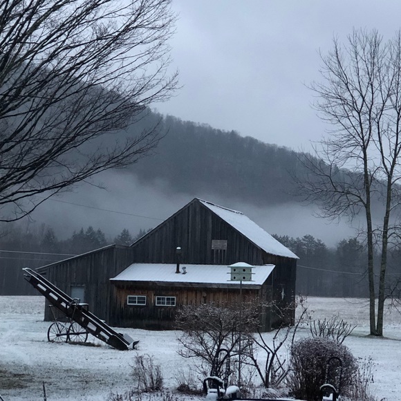 Meet your Posher, Andrea - Picture 2 of 2